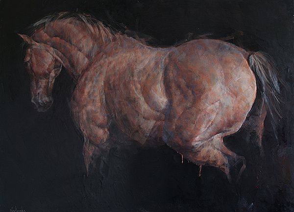 Unknown - Horse study II